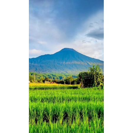 poster cetak pemandangan alam jumbo