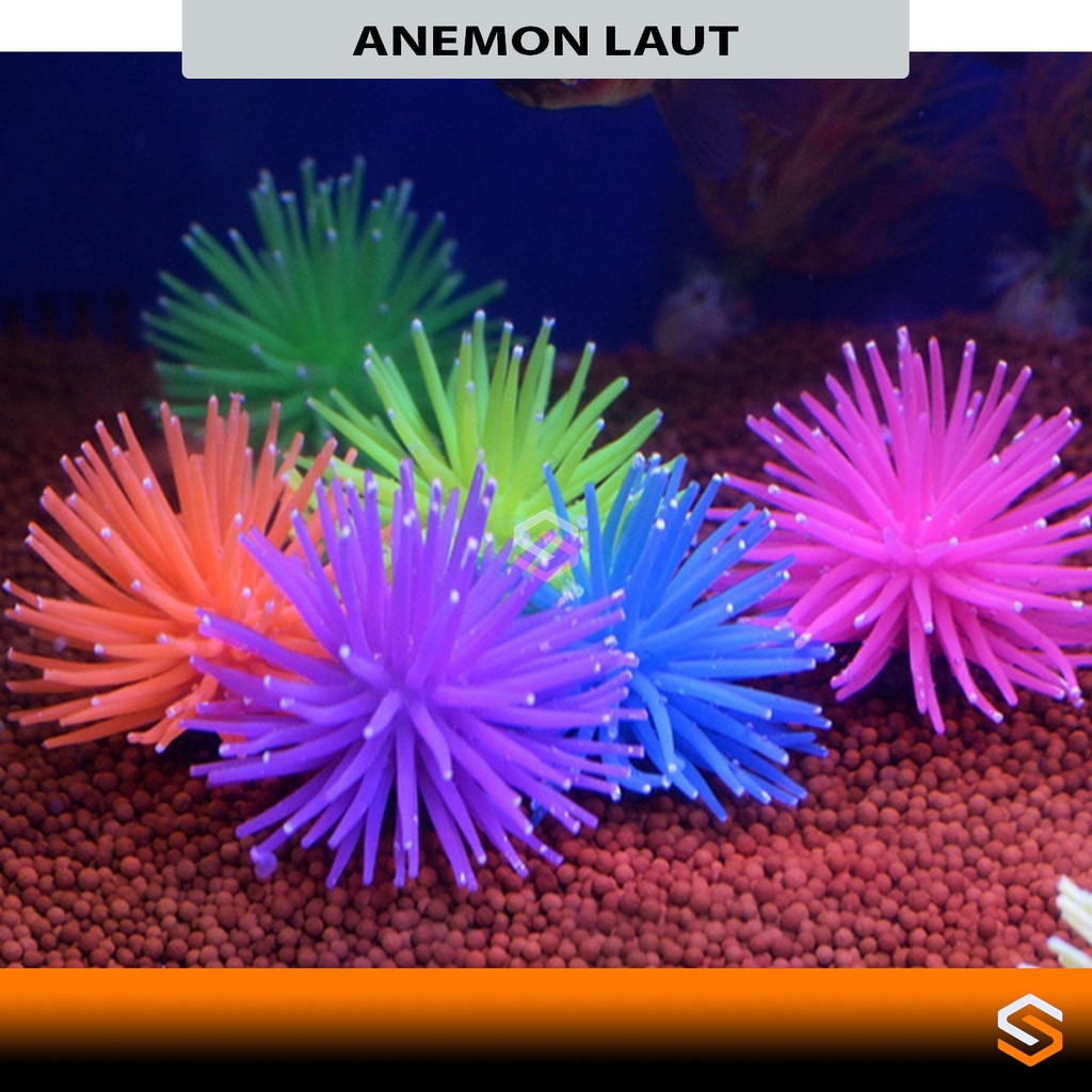 Hiasan Aquarium Aquascape Anemon Laut Artificial