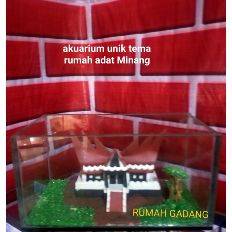 akuarium unik ikan hias cupang