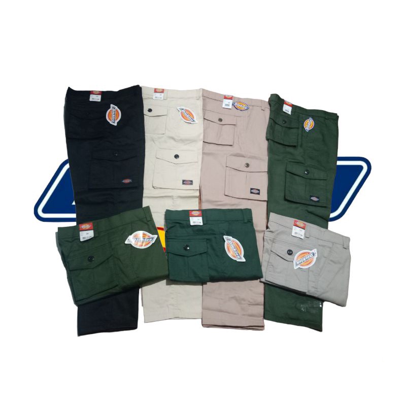 cargo pants panjang (Dickies)