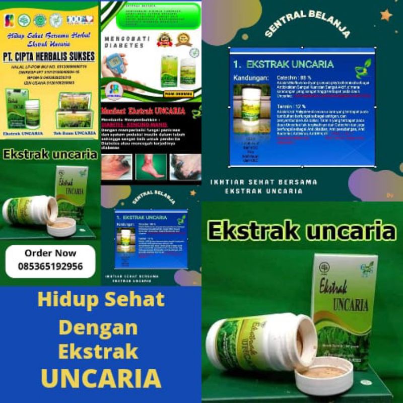 

Ekstrak Uncaria