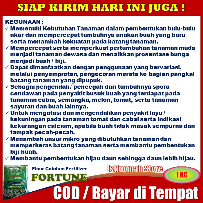 Pupuk Daun Kacang Panjang Layu Kekuningan FORTUNE 1 KG Pupuk Kalsium Bubuk untu Tanaman Kacang Panjang - Pupuk Semprot Kacang Panjang Anti Rontok Bunga dan Buah Super Lebat - Pupuk Bibit Kacang Daun Menguning Kacang Panjang Paling AMPUH