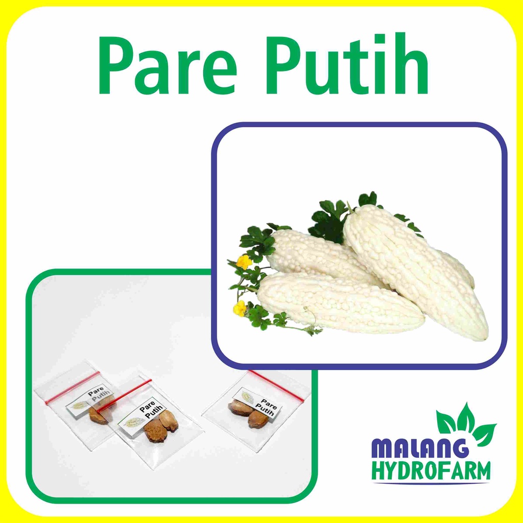 Benih Pare Putih Unggulan Berkualitas biji bibit repack paria bodas hijau hydroponik hidroponik sayu