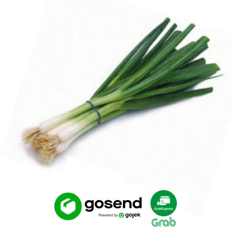 

Daun Bawang Per Ikat