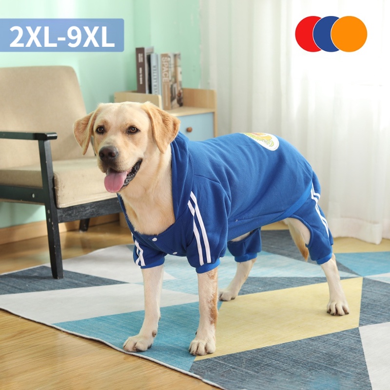 Musim Semi Anjing Sedang Dan Besar, Musim Gugur Dan Musim Dingin Berkerudung sweater Rambut Emas Labrador Cockitti Berkaki Empat Pakaian Anjing Mewah