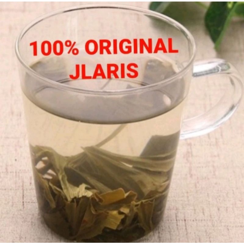 10gram obat herbal Ginkgo leaf super Ginkgo biloba ginko