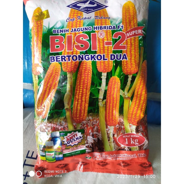 BISI 2 - CAP KAPAL TERBANG - BIBIT JAGUNG PAKAN TERNAK