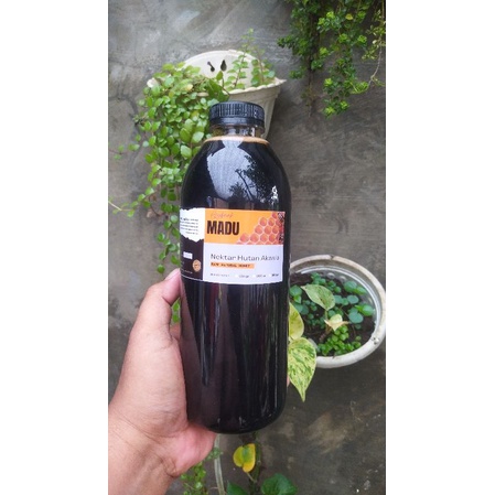 

Madu hutan akasia asli 650gr/500ml