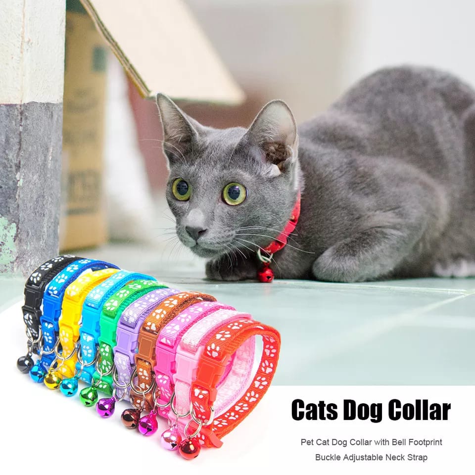 Tali Leher Hewan Peliharaan lucu Cat Dog Collar Motif Jejak Kucing Mallshopping