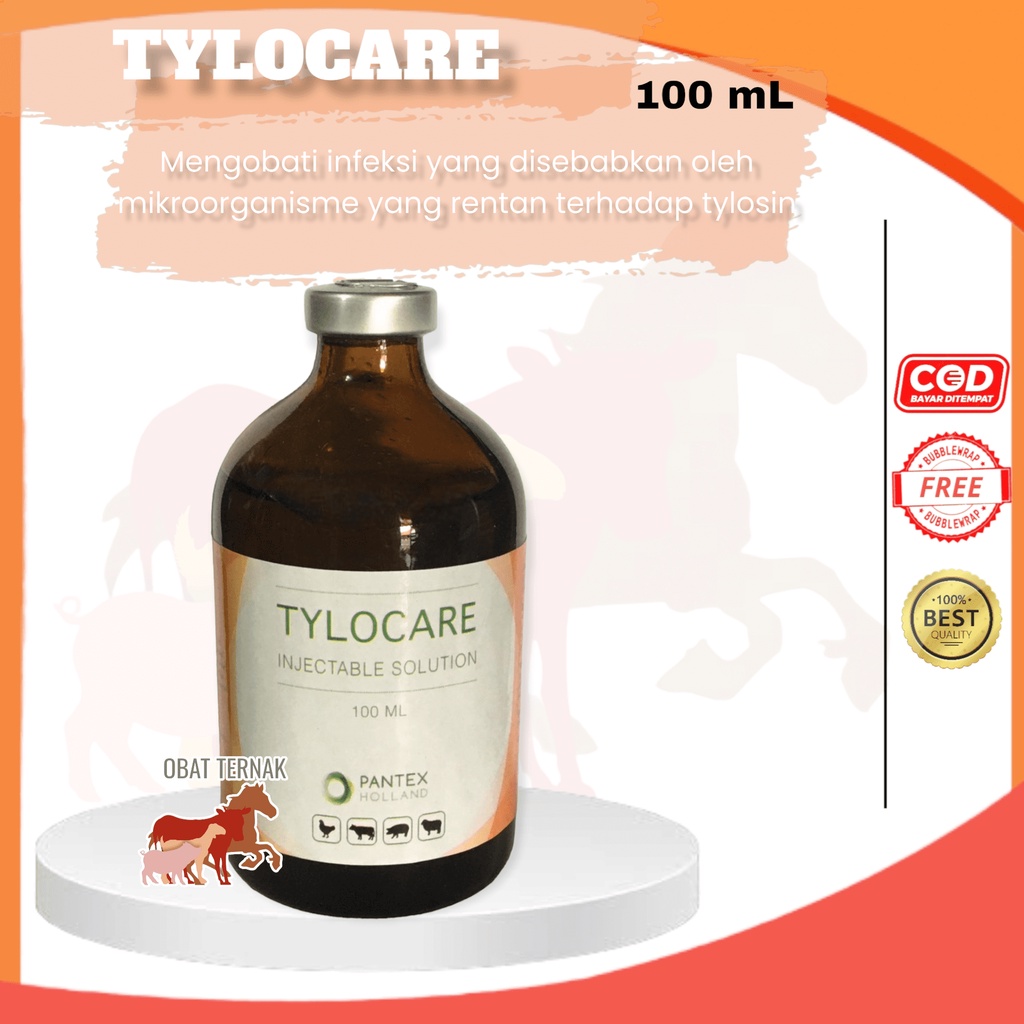 TYLOCARE INJEKSI 100ml