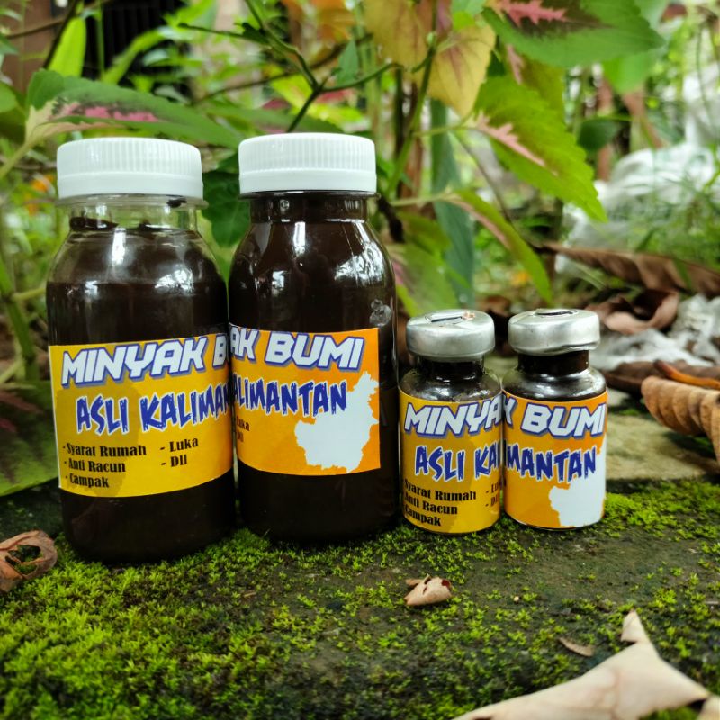 minyak bumi asli kalimantan