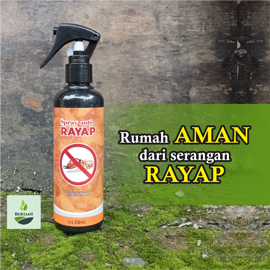 OBAT RAYAP SEMPROT | Pembasmi Rayap Kayu Tembok dan Tanah PALING AMPUH 250ml