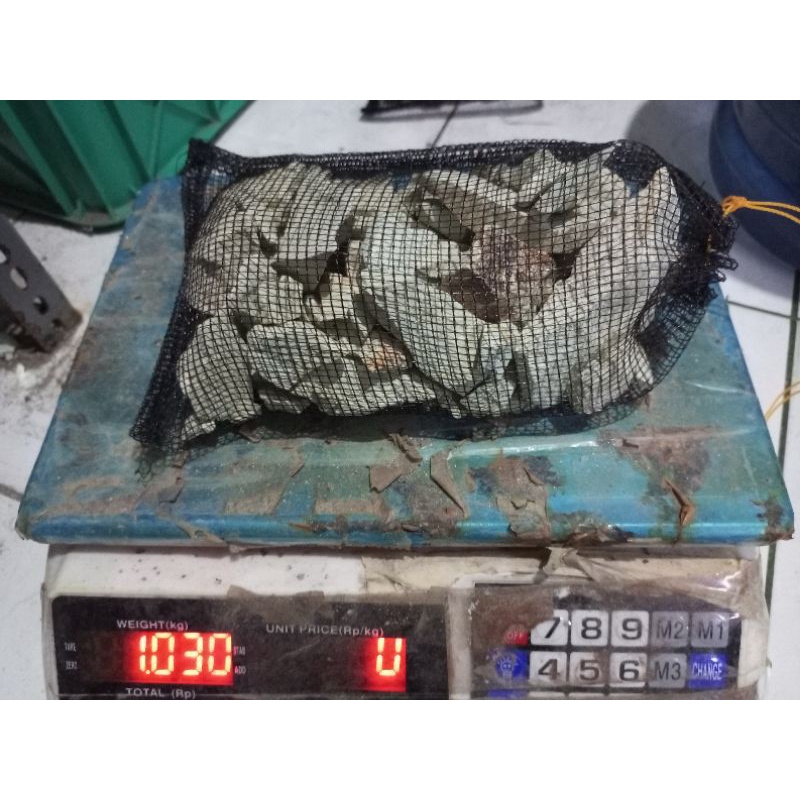 Batu zeolit 1 kg plus waring / batu zeolit / media filter / media filter kolam ikan / media filter aquarium / media filter kolam koi / filter aquarium / filter