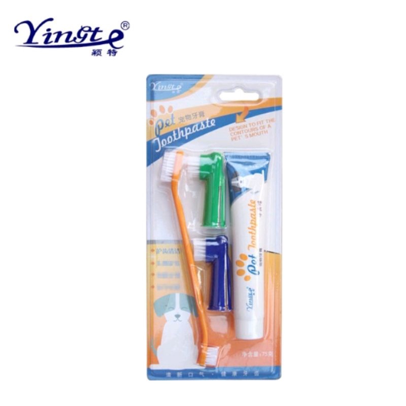 sikat gigi dan odol kucing dan anjing