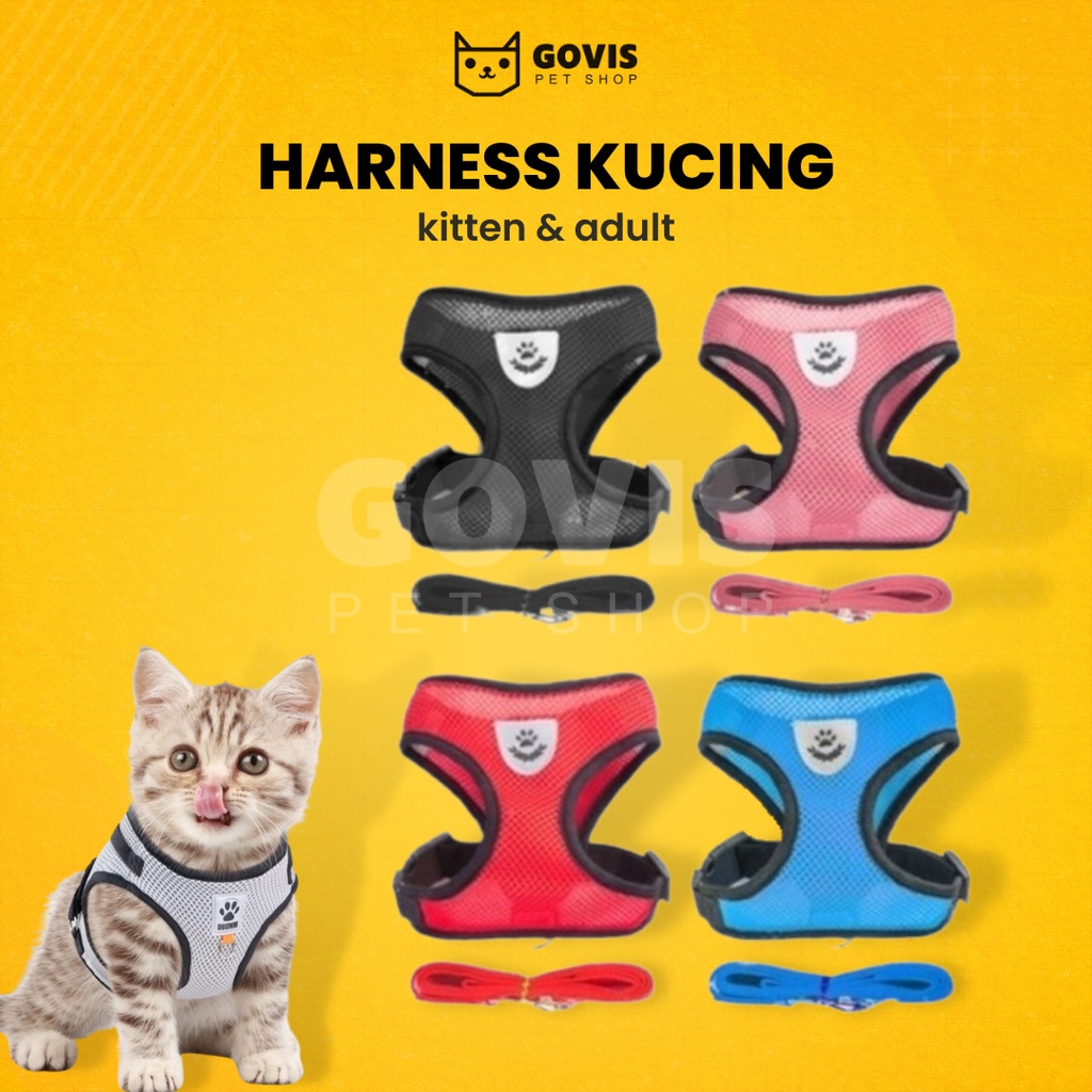 Rompi Kucing Harness Tali Tuntun Aksesoris Hewan Peliharaan