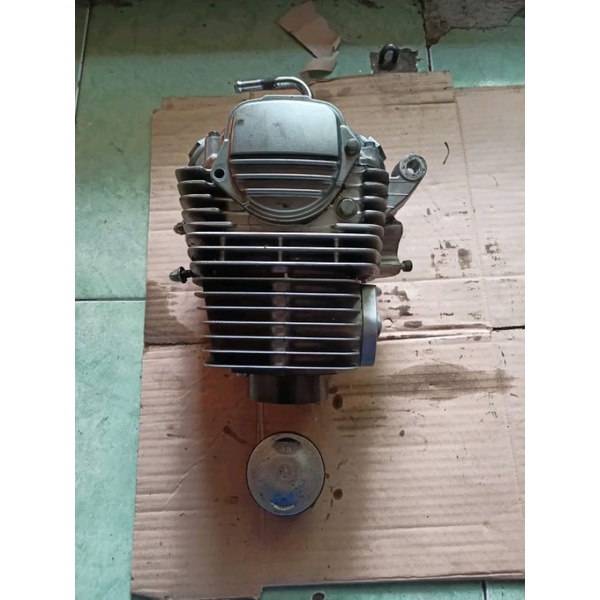 BLOKOP BURINGKOP BURKOP BLOKHEAD TIGER REVO ORIGINAL