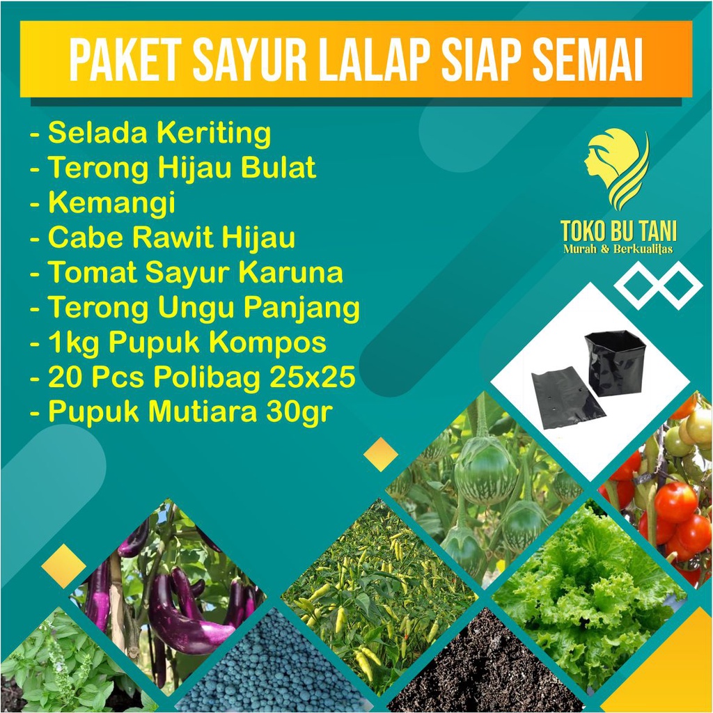 Paket Benih Sayur Lalap Siap Semai Terjangkau