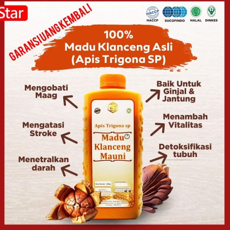 

Best Produk➥ MADU HUTAN KLANCENG MAUNI ASLI MURNI 100% / Lebah Apis Trigona 95