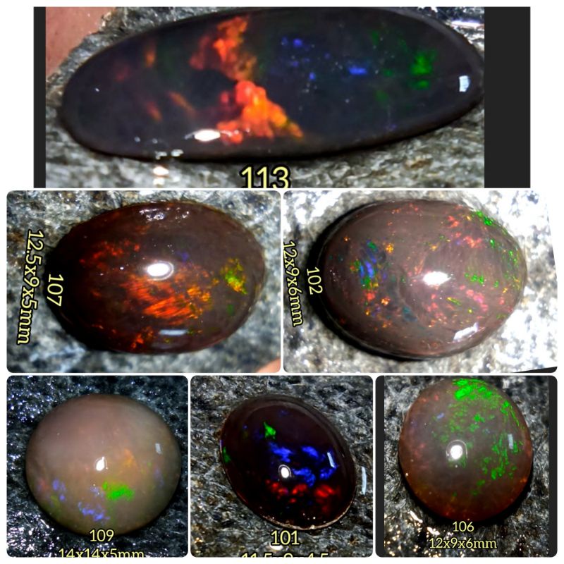 101-124 kalimaya asli original Banten milky.susu.teh.black Opal,kopi,solid,jarong kontes