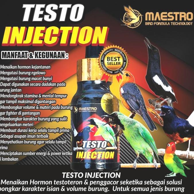 TESTOTERON INJECTION menaikkan Birahi | HORMON Testoteron burung