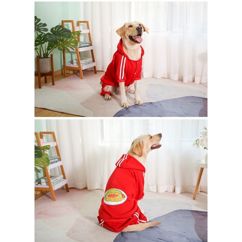 Sweater Anjing Besar Dicetak Atasan Hewan Peliharaan multi-Warna Hangat