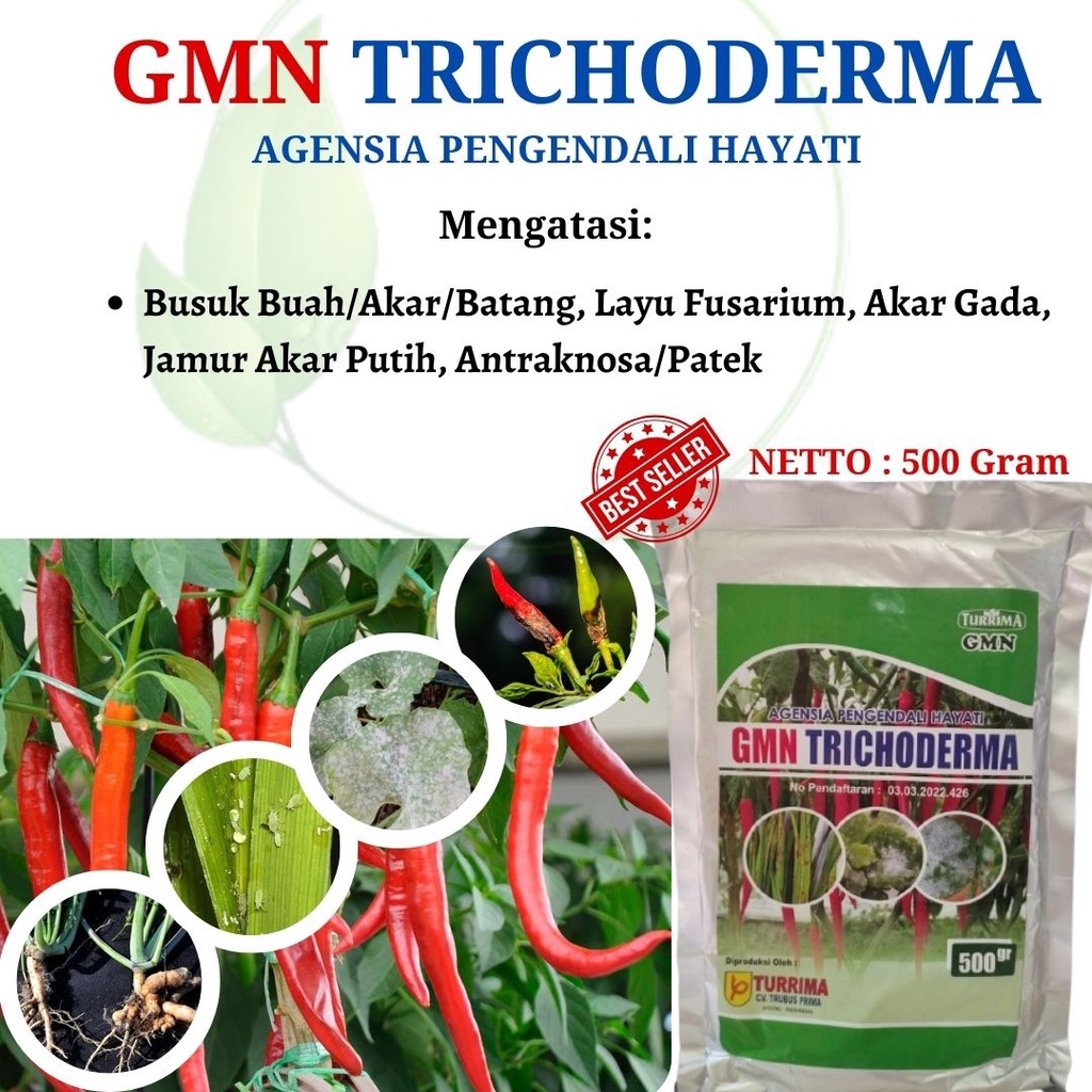 Obat Layu Fusariu, Trikoderma 500 Gram Obat Busuk Buah/Akar Obat Tanaman Cabe