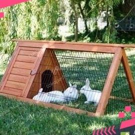 rumah/kandang kelinci antik