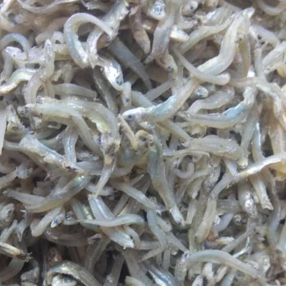 

❃ Teri buntiau tauge Medan ,berat 500 gram ♦