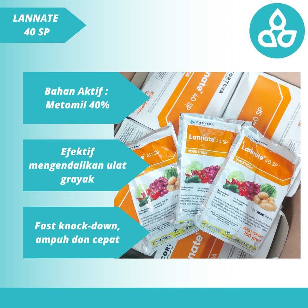 Insektisida Obat Basmi Ulat Grayak Lannate 40 SP 100 gram