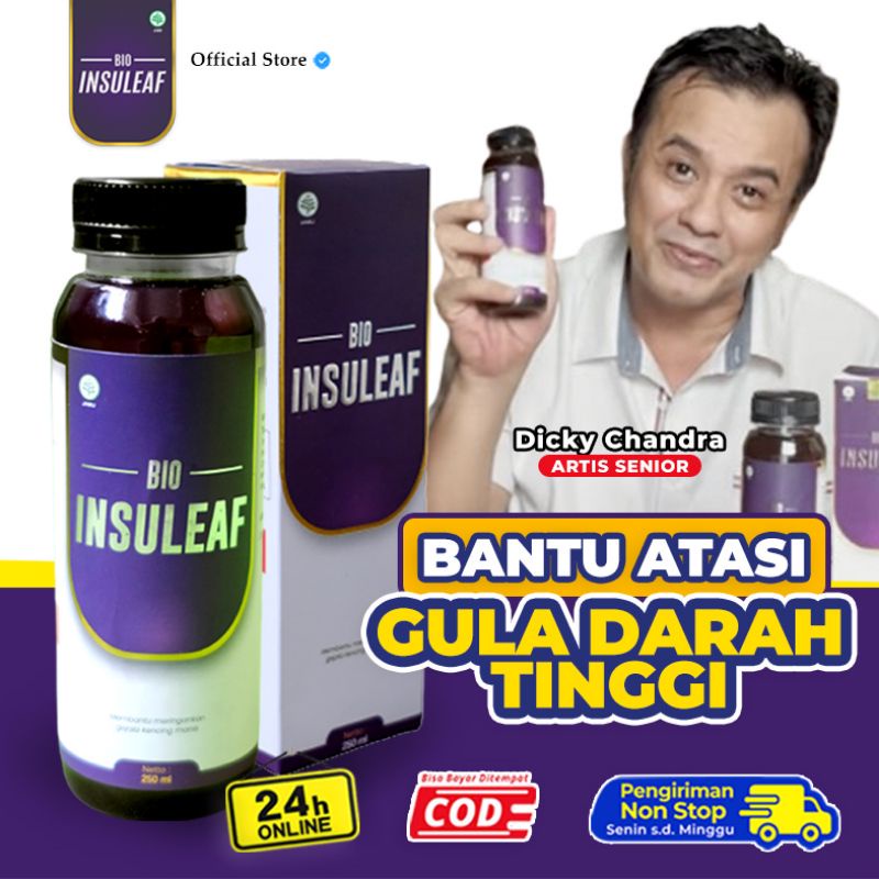 

BIO INSULEAF 250 ML 100% HERBAL ALAMI SOLUSI MASALAH GULA DARAH PAKET 1 BOTOL