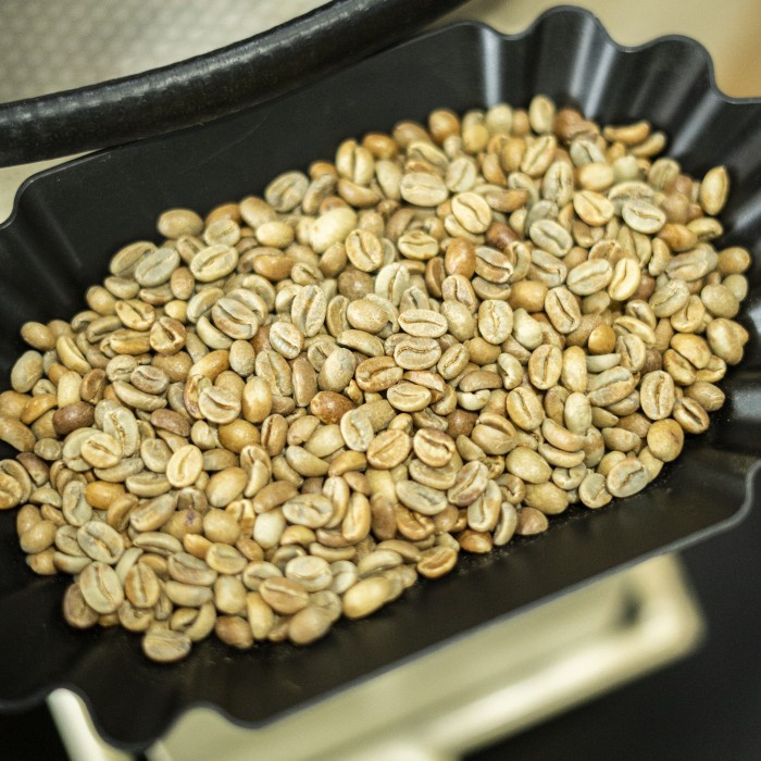 

Terlaris ✨ -Kopi GAYO HONEY TAKENGON Single Origin Arabika Specialty BIJI / BUBUK - Satuan, Biji Sangrai- 2.1.23