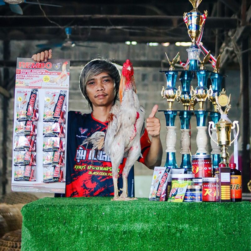 REMBO RP EXTRA FOODING AYAM isi 20 stik