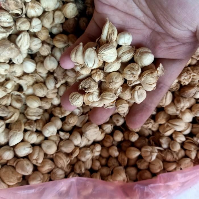 

Kapulaga Putih Murni! / Kapolaga / White Cardamon 50 G Gram Best Seller