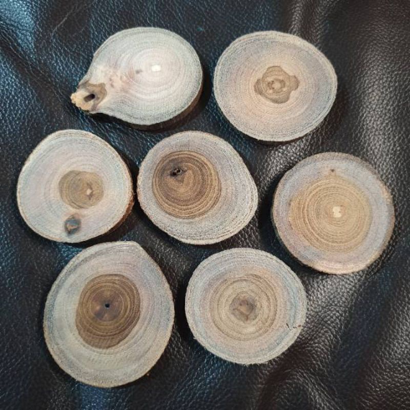 Wood slice potongan kayu jati. ranting kayu jati kering. potongan ranting kayu jati