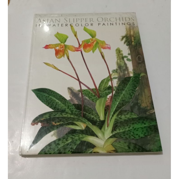 ASIAN Slipper Orchids In Water Color Paintings