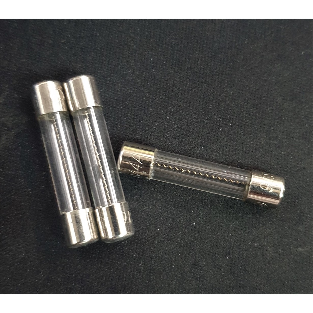 Fuse Kaca 4A 125V Glass Fuse Sekring 31mm x 6mm Diameter
