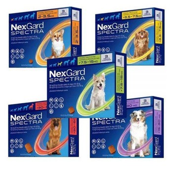 Obat kutu anjing NEXGARD SPECTRA