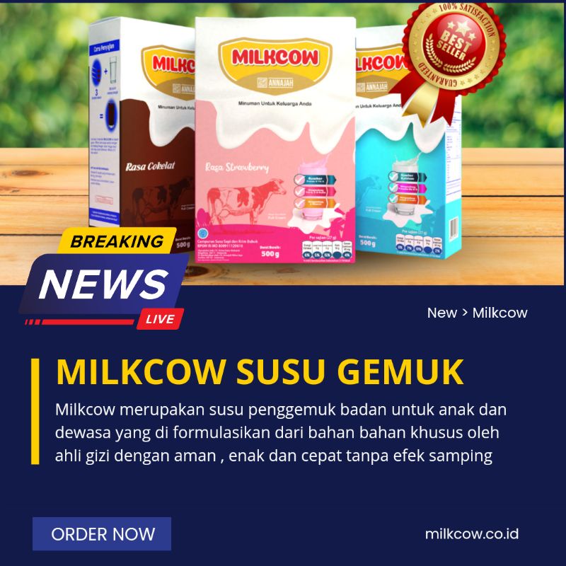 MILKCOW SUSU SAPI COCOK UNTUK PROGAM GEMUK