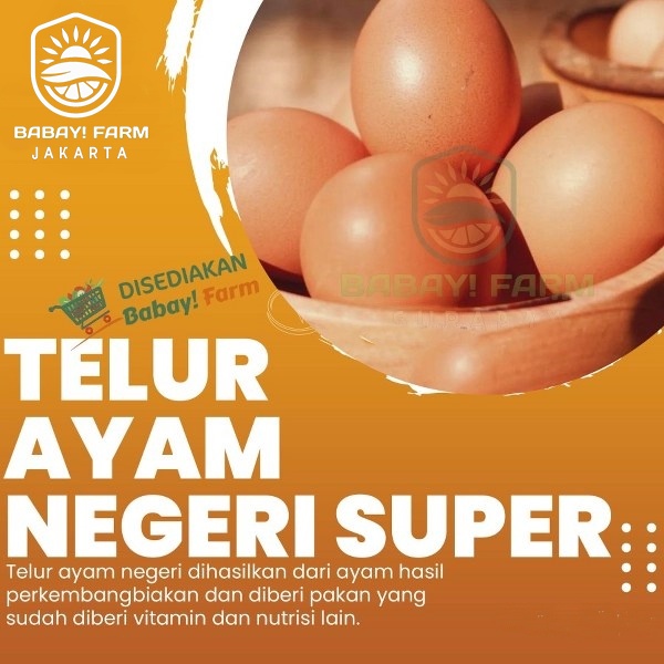 

Telur Ayam Negeri / Telor Negri Super