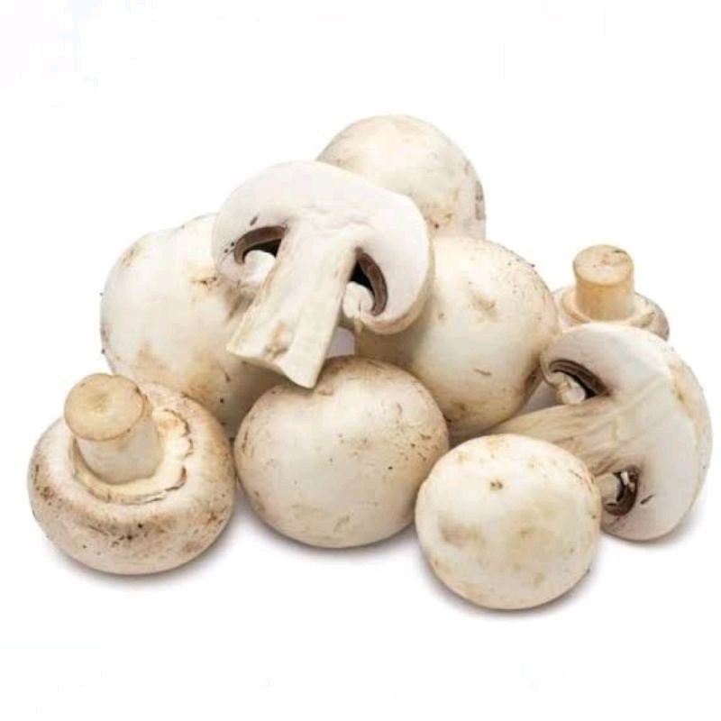 

Jamur Kancing / Jamur Champignon 200gr