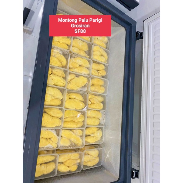 

durian Montong palu Parigi grosiran 500gram bergaransi monthong Sulawesi