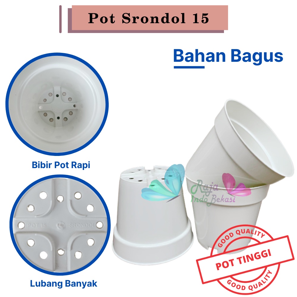 Pot Tinggi Srondol 15 Putih - Pot Tinggi Usa Eiffel Effiel 18 20 25 Lusinan Pot Tinggi Tirus 15 18 20 30 35 40 50 Cm Paket murah isi 1 lusin pot bunga plastik lusinan pot tanaman Pot Bibit Besar Mini Kecil Pot Srondol