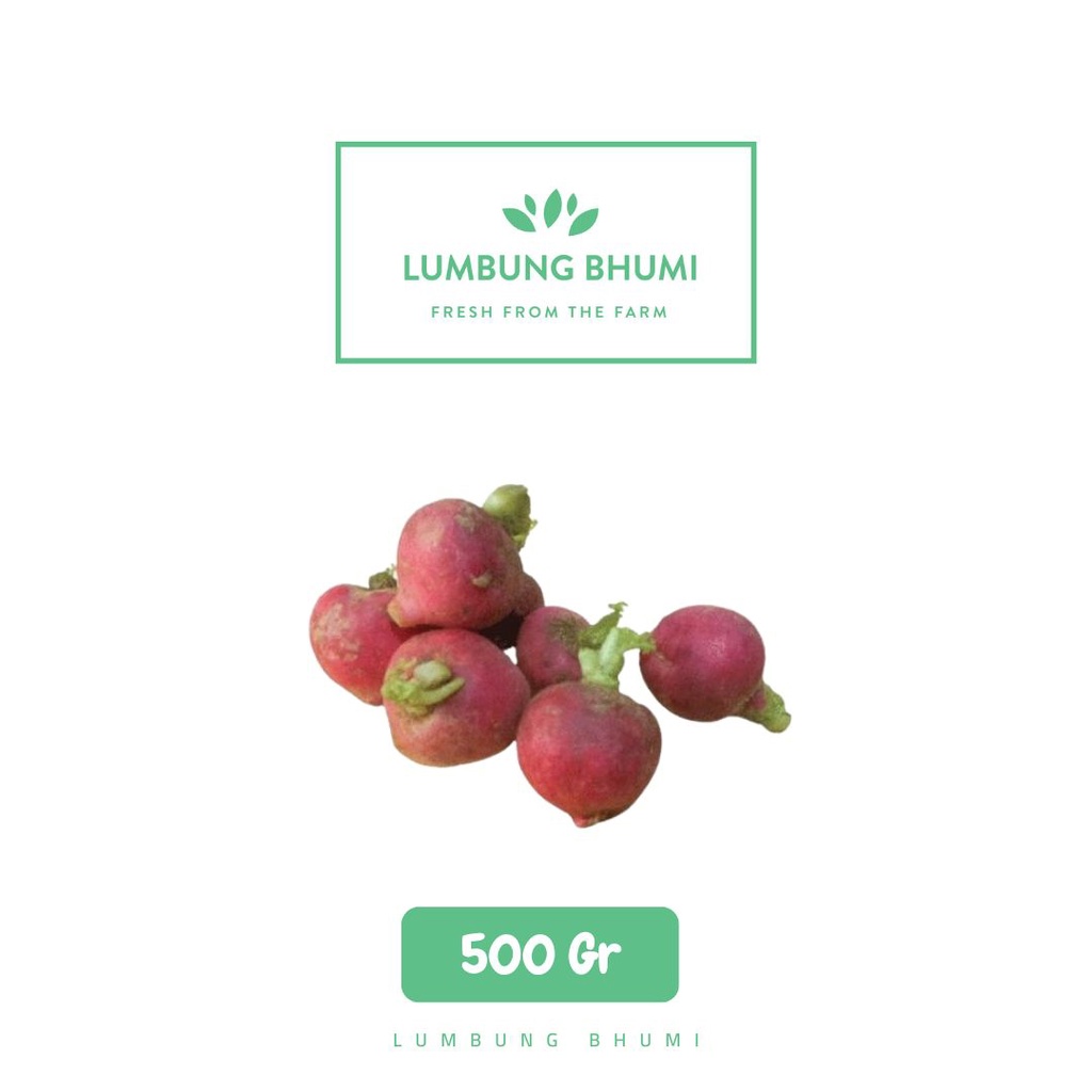 

Lumbung Bhumi - BABY Radish Lobak Merah 500 Gr ( Sayur Curah )