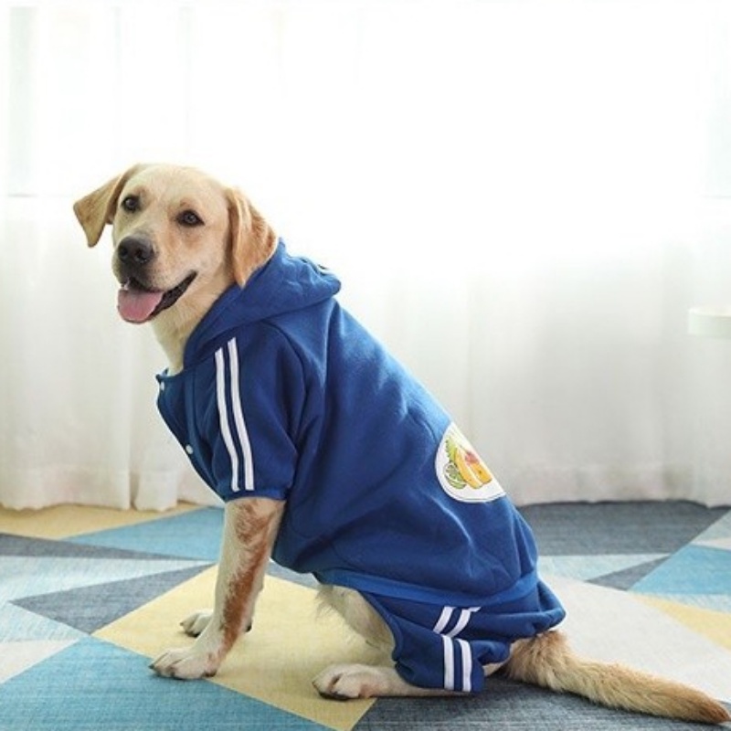 Sweater Anjing Besar Dicetak Atasan Hewan Peliharaan multi-Warna Hangat