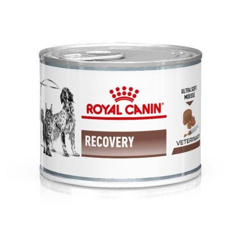 Sale Royal Canin Recovery Canned Untuk Anjing / Kucing - Harga Murah /PERAWATAN KUCING LENGKAP/PERAWATAN KUCING PERSIA/PERAWATAN KUCING KECIL/PERAWATAN KUCING HAMIL