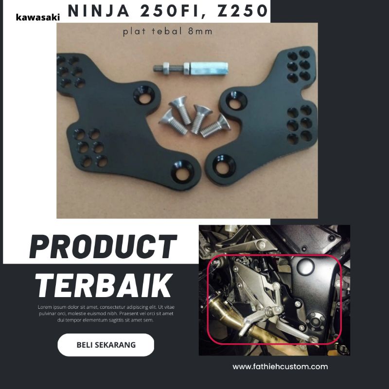 Raiser footstep ninja 250f1 z250