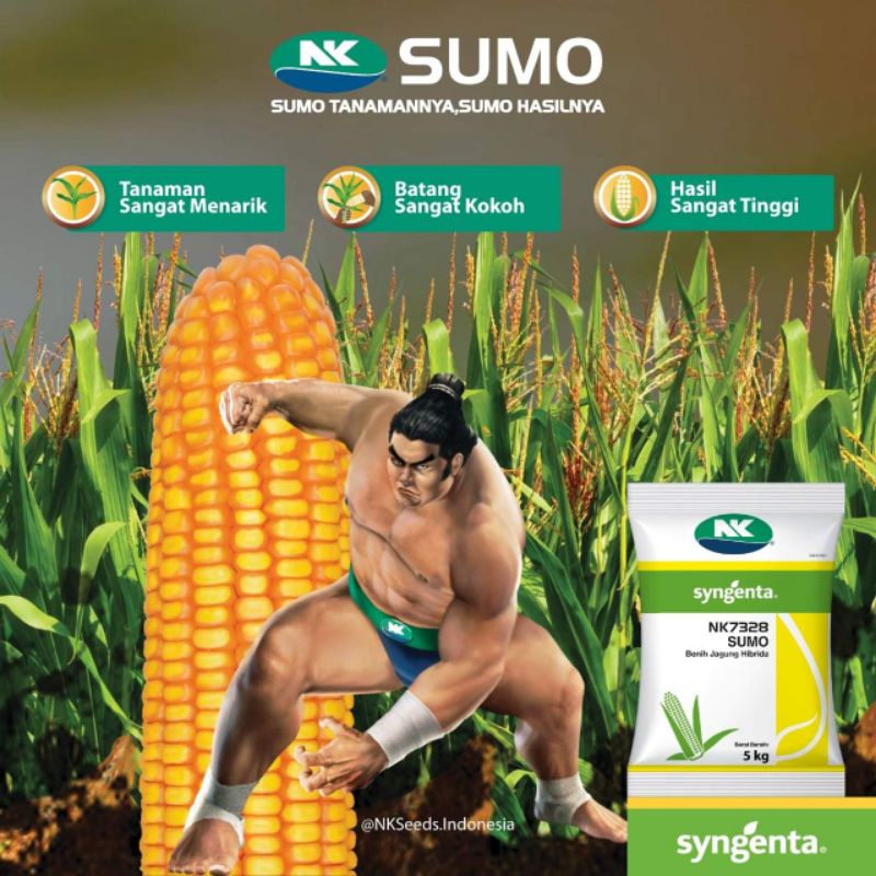 Benih jagung hibrida NK 7328 SUMO