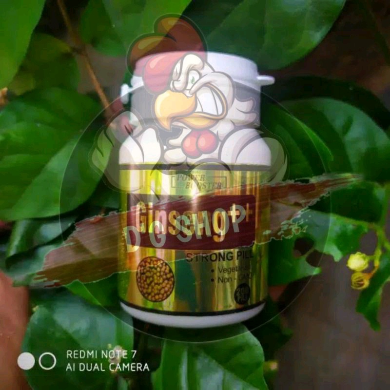 POWER BOOSTER GINSENG Obat Ayam Aduan