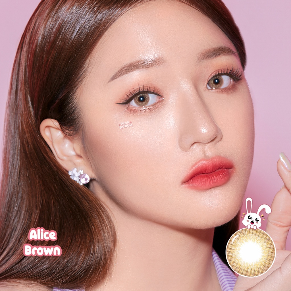 Pink Rabbit Softlens Minus Alice Brown Soflens Coklat