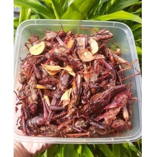 

SALE 100rb/3Pack !!! Walang Goreng Belalang goreng Wonosari Gunungkidul